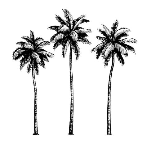 Vecteur cocotiers. illustration d'encre ... | Premium Vector #Freepik #vector #plage-vintage #palmier-illustration #plage-palmier #palmier-dessin Design Graphique, Premium Vector, Palm Trees, Save The Date, Geometry, Plant Leaves, Trees, Tattoos, Art