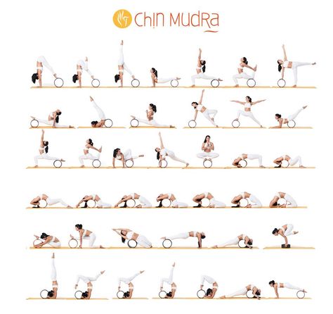 Yoga Wheel Exercises, Chin Mudra, Dharma Yoga Wheel, Wheel Pose Yoga, Morning Yoga Workouts, Dharma Yoga, Study Yoga, Hard Yoga Poses, Yoga Wheel