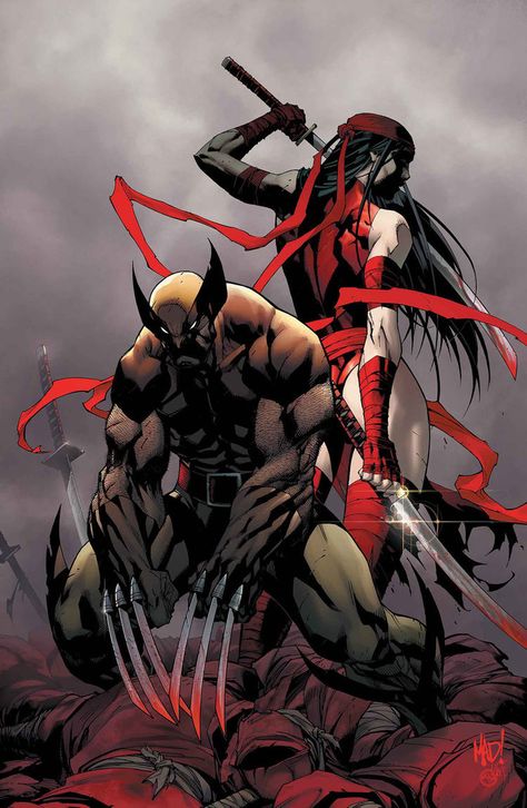 Wolverine and Elektra by Joe Madureira Wolverine Images, Marvel Wolverine, Joe Madureira, Wolverine Art, The Wolverine, Comics Anime, Frank Miller, Comic Book Artwork, Wolverine Marvel