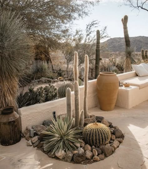 Desert Landscaping Backyard, Asia Landscape, Fantasy Desert, Desert Landscape Design, Desert Backyard, Cactus Gardens, Arizona Backyard, Garden At Home, Our Happy Place