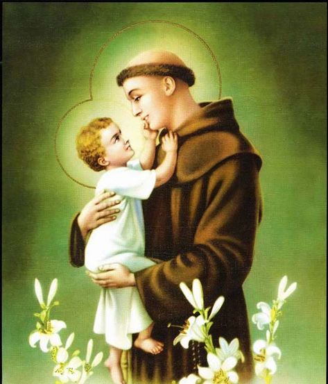 A STUDENT PRAYER TO SAINT ANTHONY St Anthony Prayer, Prayer For Students, Lost Things, Saint Anthony Of Padua, Catholic Pictures, St Anthony, Saint Anthony, Prayer Book, Catholic Art