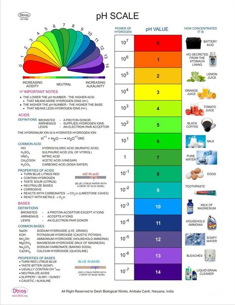 Ph Chart, Ph Scale, Chemistry Education, Paper Home, Paper Material, Graph Paper, Paper Houses, Paper Pads, Guide Book