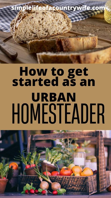 urban homesteading Backyard Homesteading For Beginners, Apartment Homesteading For Beginners, Urban Homesteading For Beginners, Apartment Farming, Homesteaders Kitchen, Homesteading Apartment, Homestead 101, Apartment Homestead, Homestead Apartment