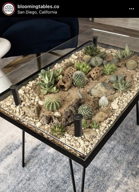 Terrarium Table Diy, Blooming Table, Succulent Plants Indoor, Succulent Table, Plants In Bedroom, Styling Plants, Terrarium Table, Indoor Plants Decor, Cactus Terrarium