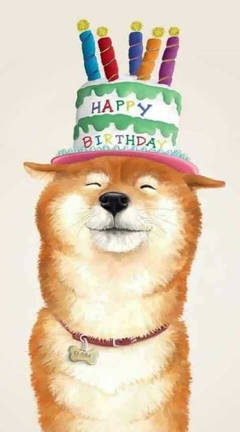 Happy Birthday Dog Meme, Happy Birthday Animals, Happy Birthday Illustration, Happy Birthday Dog, Birthday Greetings Friend, Happy Birthday Art, Happy Birthday Greetings Friends, Dog Birthday Card, Birthday Illustration