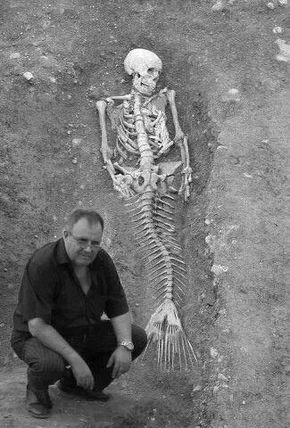 Do Mermaids Exist, Real Life Mermaid Found, Mermaids Exist, Mermaid Sightings, Mermaid Found, Real Life Mermaids, Art Vampire, Mermaid Sign, Mermaid Skeleton