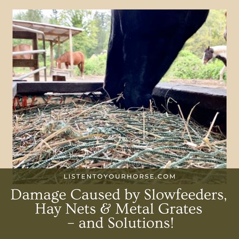 Laundry Basket Hay Feeder, Hay Slow Feeder For Horses, Diy Horse Hay Slow Feeder, Diy Slow Feeder Horses, Horse Feeder Ideas Stalls, Outdoor Hay Feeder For Horses, Diy Covered Hay Feeder For Horses, Horse Slow Feeder Ideas, Slow Hay Feeder For Horses