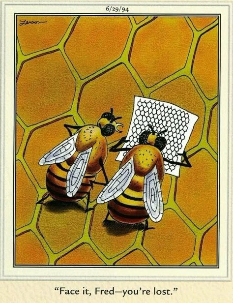 Bee Humor, Bee Things, Buzzy Bee, Gary Larson, I Love Bees, Bee Stuff, Bees And Wasps, The Bees Knees, Bee's Knees