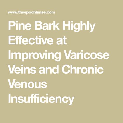 Pine Bark Highly Effective at Improving Varicose Veins and Chronic Venous Insufficiency Venous Insufficiency, Pine Bark, Fitness Nutrition, Health And Nutrition, Surgery, Nutrition, Health, Quick Saves