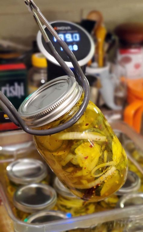 How to Use a Sous-Vide Circulator to Can Pickles Sous Vide Pickles, Sous Vide Canning, Can Pickles, High Acid Foods, Ball Blue Book, Dill Pickle Recipe, Low Acid Recipes, Fermented Pickles, Sous Vide Recipes