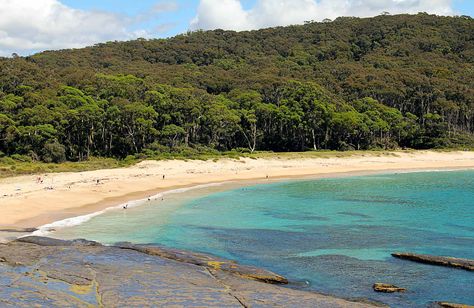 Depot Beach is our absolute favourite place in NSW which is why we will get married here in 2016. Put it on your bucket list!!! www.visitingnsw.com South Coast Nsw, Best Campgrounds, Beach Cabin, Overseas Travel, Beach House Design, Camping Spots, Free Camping, Cool Cafe, By The Beach