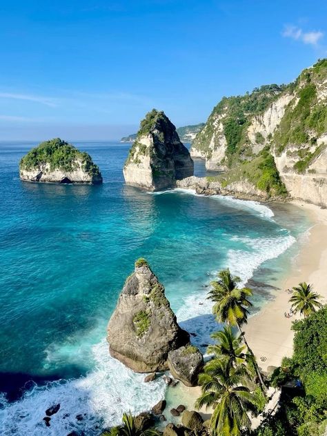 Welcome to Nusa Penida, where every corner feels like a postcard 😍🌺. From the stunning Kelingking Beach to mesmerizing underwater life, this is a destination you can’t miss. 🌊🏖️ If you are coming to Bali - Message us for a free surprise 🎁 #NusaPenida #Bali Nusa Penida Bali, Kelingking Beach, Diamond Beach, Bali Travel Guide, Nusa Penida, Mystical Forest, Underwater Life, Secluded Beach, Summer Time Pictures