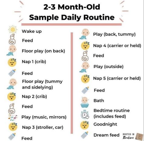 2 Month Old Routine, One Month Old Routine, Routine For 3 Month Old Baby, 2 Month Old Bedtime Routine, 2 Month Old Schedule Daily, 3 Month Old Routine, 2 Month Old Schedule, 3 Month Old Schedule, Advice For New Parents