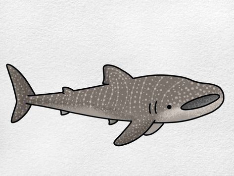 Whale Shark Drawing - HelloArtsy Whale Cartoon Drawing, Draw A Whale, Shark Drawing Easy, Whale Shark Drawing, Whale Shark Tattoo, Shark Painting, Whale Drawing, Cartoon Whale, Shark Drawing