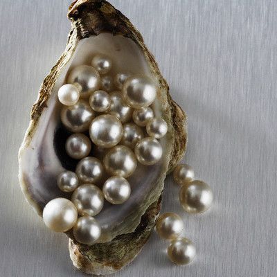 The Law of Attraction & Manifesting, Enchanting the fable in gloom, Logical thinking is what mind requires, A creative thinking is what I aspire! Life between our choices and society norms, Que... Pearl And Lace, Oyster Shell, Natural Pearls, Pearl Jewelry, Sake, Sea Shells, We Heart It, Pear, Shells