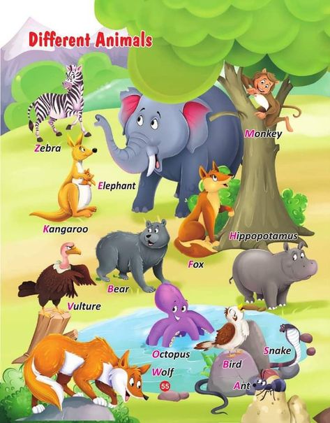 Animals Name With Picture, Picture Story For Kids, Preschool Pictures, Deutsch Language, Animal Activities For Kids, Fun Worksheets For Kids, English Learning Books, Preschool Classroom Decor, Diy Puzzles