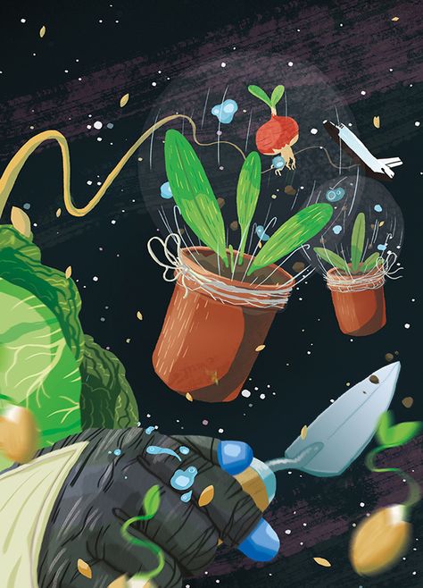 NASA are growing vegetables in space!That stuck with me for days, so I did a quick personal illustration on it. Rocket Drawing, Magic Kitchen, Earth Girl, Personal Illustration, Space Drawings, Space Girl, Plant Drawing, Growing Vegetables, In Space