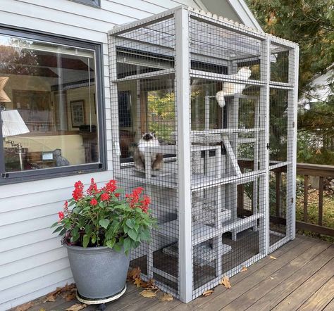 DIY Catio Plans & Catio Design Ideas | How To Build a Catio Space Patio For Cats, Outside Cat Enclosure, Cat Catio, Catio Plans, Diy Cat Enclosure, Addition Project, Build Outdoor Furniture, Patio Images, Catio Ideas