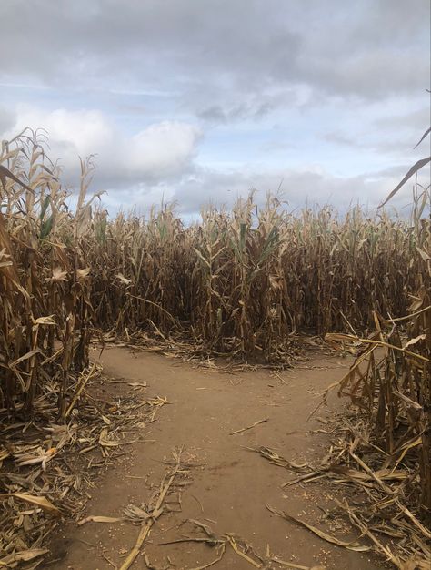 Midwest Emo Aesthetic, Midwest Emo, Vampire Stories, Emo Aesthetic, You Belong With Me, Corn Maze, Fall Pictures, Autumn Aesthetic, Town And Country