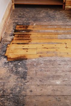 Sanding Floorboards, Painted Staircase, Wood Floor Restoration, Painted Wooden Floors, Diy Hardwood Floors, Painted Floorboards, Wood Floor Colors, Refinish Wood Floors, Old Wood Floors