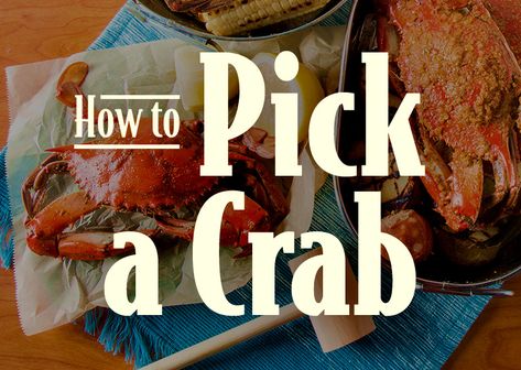 Late summer means that it's blue crab season! Learn how to cook, pick, and eat blue crabs the right way with our step-by-step guide and video! How To Cook Fresh Crab, How To Eat Blue Crab, Blue Crab Photography, Crab On Beach, Maryland Crabs, Maryland Blue Crab, Blue Point, Did You Eat, Crab Recipes