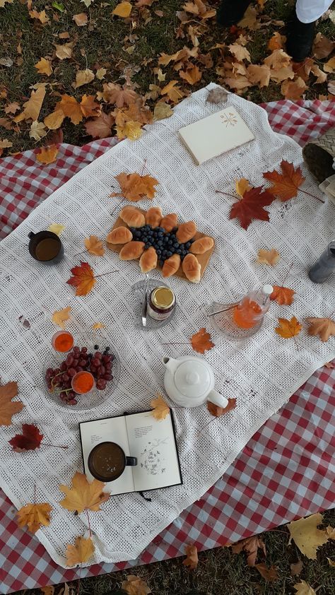 Autumn Birthday Activities, Fall Birthday Picnic, Fall Picnic Birthday Party, Autumn Picnic Ideas, Autumn Picnic Outfit, Autumn Picnic Aesthetic, Winter Picnic Ideas, Friendsgiving Picnic, Fall Picnic Food Ideas