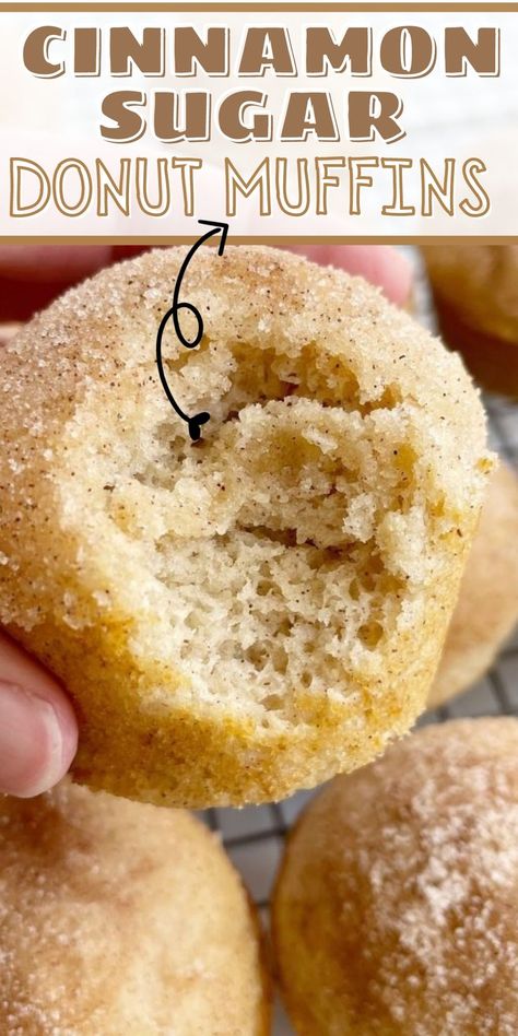 Cinnamon Sugar Donut Muffins, Cinnamon Doughnut Muffins, Homemade Cinnamon Muffins Easy, Donut Muffins Cinnamon Sugar, No Butter Muffins, Cinnamon Muffins Recipe, Easy Cinnamon Muffins Simple, Simple Cinnamon Muffins, Small Batch Cinnamon Muffins