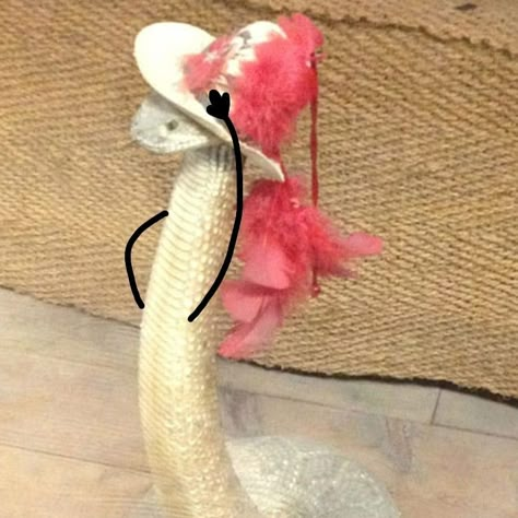 Cute Snake With Arms, Snakes With Arms Funny, Cute Snakes With Arms, Snake Memes Funny, Cute Snake Pfp, Snake With Arms, Snakes With Arms, Snake Pfp, Snake Meme