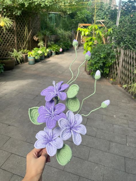 Native australian flowers