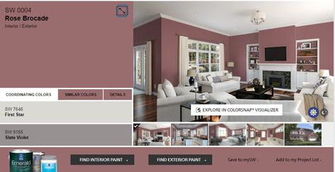 Accent Color Sherwin Williams Rose Brocade, Rose Brocade Sherwin Williams, Red Paint Colors, Historic Colours, Rose Aesthetic, Sherwin Williams Paint Colors, Modern Victorian, Paint Projects, Redecorate Bedroom