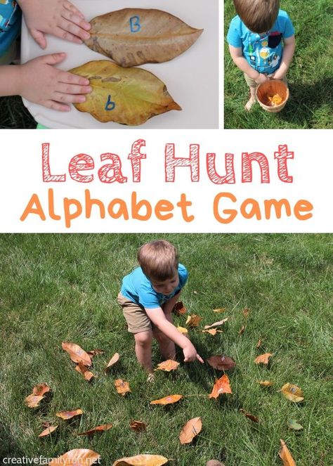 Learn the alphabet with this fun outdoor leaf hunt alphabet game for toddlers and preschoolers. You'll have fun moving and learning! Fun Preschool Activities, Outdoor Games For Preschoolers, Outdoor Games For Toddlers, Leaf Hunt, Game For Toddlers, Easy Preschool Crafts, Outdoor Activities For Toddlers, Alphabet Game, Fall Themes