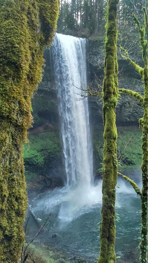 South Falls, Silver Creek State Park Oregon on Christmas Eve 2016. State Park, Christmas Eve, State Parks, Oregon, Water, Green, Christmas, Photography, Silver