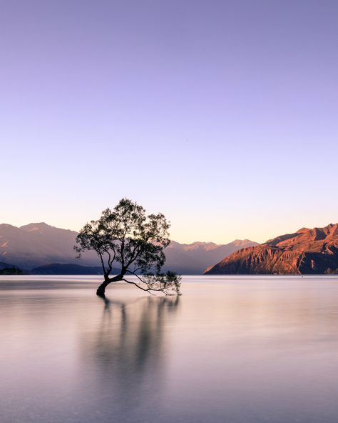 Wanaka Tree, Maligne Lake, Lake Wanaka, Hot Pools, Road Trip Car, West Coast Road Trip, Summer Road Trip, Road Trip Fun, Island Travel