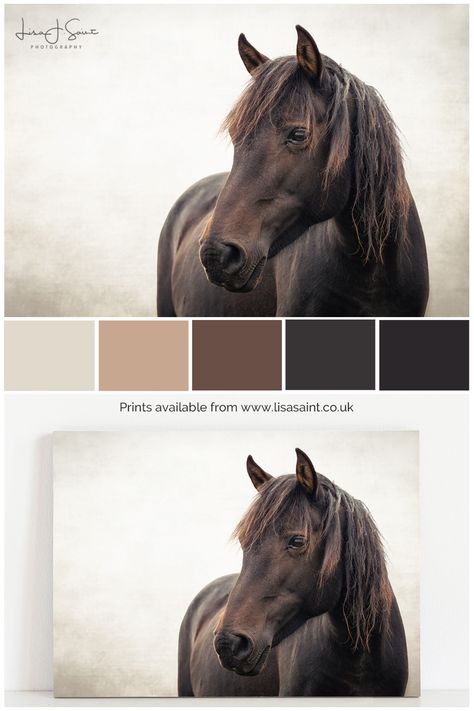 Horse Color Palette, New Forest Pony, Match Art, Color Palette From Image, Best Landing Page Design, The New Forest, Horse Property, Wild Horse, New Forest