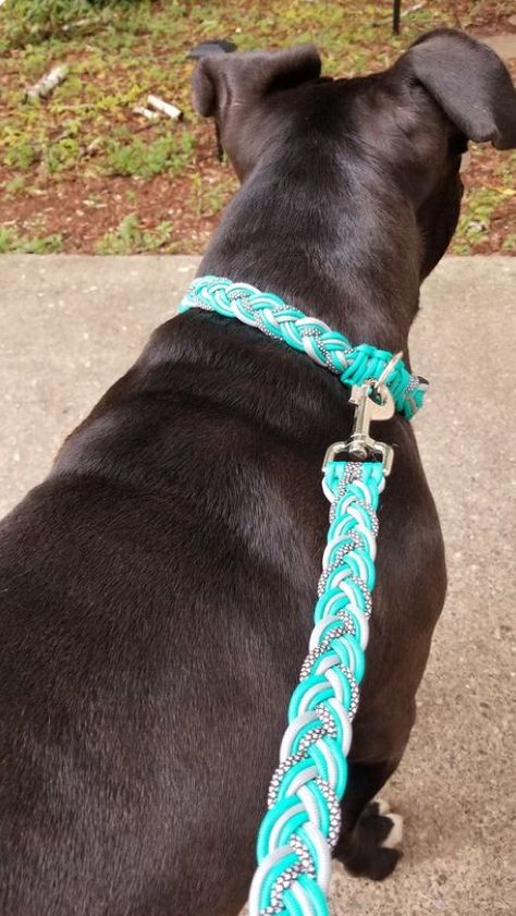 Dog Paracord Collar, Making Dog Collars, Paracord Dog Collar Diy, Diy Dog Leash, Macrame Dog Leash, Horse Tack Diy, Paracord Dog Collar, Paracord Projects Diy, Paracord Dog Leash