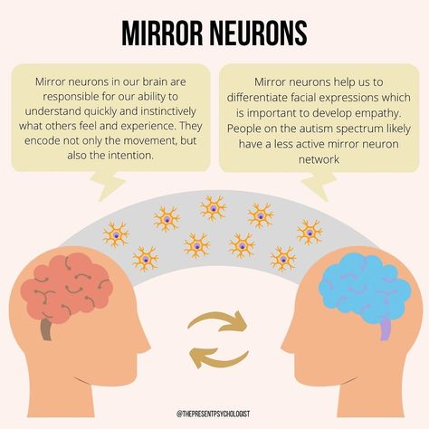 Mirror Neurons in our brains are responsible for our ability to understand quickly and instinctively what others feel and experience 🧠⁠ ⁠ Read more on my instagram now @ashleyturner1 Neuroscience Of Learning, Mirror Neurons Neuroscience, Neuro Exercises, Neuroscience Aesthetic, Interpersonal Neurobiology, Mirror Neurons, Brain Psychology, Brain Anatomy And Function, Neurodivergent Brain