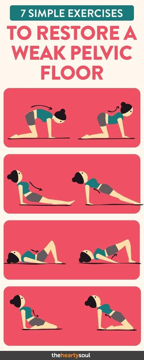 Healthy Sport, Pelvic Floor Exercises, Pelvic Floor Muscles, Simple Exercises, Post Partum Workout, Floor Workouts, Pelvic Floor, Physical Fitness, Easy Workouts