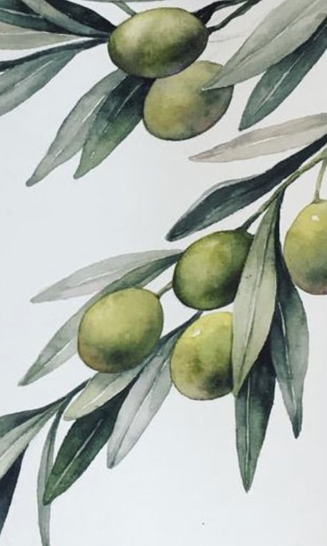 Olive Branch Painting Acrylic, Olive Branch Painting, Olive Branch Art, Olive Tree Painting, Dotted Drawings, Olive Leaves, Tree Artwork, Watercolor Fruit, Easy Drawings Sketches