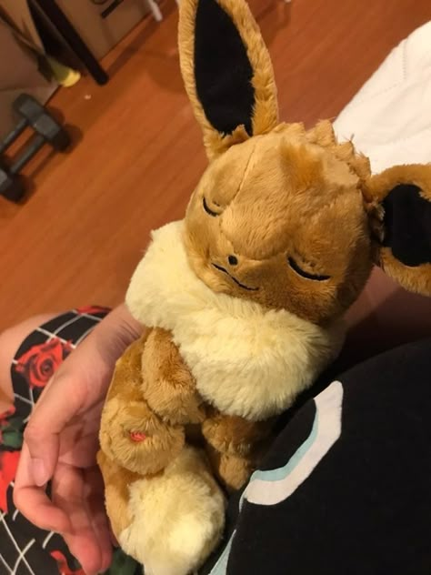 Eevee Sleeping, Eevee Plush, Pokemon Stuffed Animals, Pokemon Aesthetic, 3d Pokemon, Pokemon Plushies, Pokemon Dolls, Pokemon Eeveelutions, Eevee Evolutions