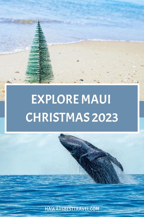 Explore a range of exciting Christmas activities and festive events to enjoy on the beautiful island of Maui. Immerse yourself in the spirit of the season by celebrating Christmas amidst stunning beach walks and traditional Hawaiian luaus. Make this holiday season truly memorable with a unique and unforgettable Christmas experience on Maui. Maui In December, Merry Christmas In Hawaiian, Christmas Weather, Wailea Maui, Hawaii Holiday, Wailea Beach, Hawaiian Christmas, Christmas Experiences, Visit Hawaii