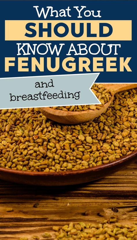 Are you a breastfeeding mom who is curious about the safety of fenugreek? In this post, we’ll take a look at what evidence shows about the effects of fenugreek on breastfeeding and whether or not it is known to decrease milk supply or not. Fenugreek is probably the most commonly recommended and popular galactaoguges around. … Fenugreek Recipes Milk Supply, Breastmilk Production Increase, Fenugreek Supplement, Breast Massages For Milk Production, How To Become An Over Supplier Breastmilk, Breast Milk Production, Fenugreek Benefits, Milk Production Breastfeeding, Breastfeeding Mom