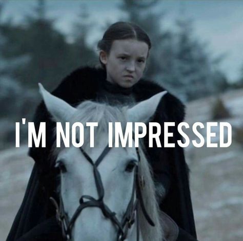 Gotta love her Lady Mormont, Lyanna Mormont, Game Of Thrones 3, Valar Dohaeris, Game Of Thrones Tv, Game Of Thrones Funny, Got Memes, Gra O Tron, Games Of Thrones