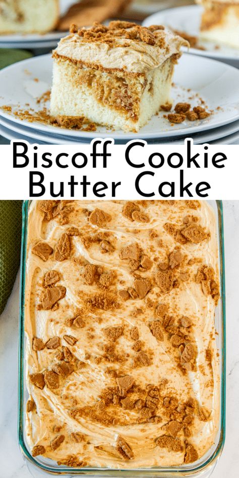 Brownie Cake With Cookie Butter Frosting, Dessert Cookoff Ideas, Biscoff Cookie Cake Recipe, Cookie Butter Poke Cake, Biscoff Dump Cake, Vanilla Biscoff Cake, Bischoff Cake Recipe, Deserts With Cookie Butter, Biscoff Box Cake