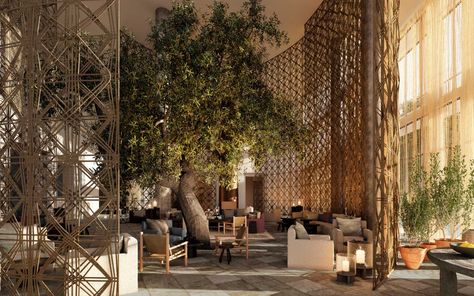 Aman Is Launching a 'Playful' New Hotel Brand Aimed at Helping Us Reconnect With One Another Montenegro Culture, Travel Montenegro, Hotel Lobby Design, Lobby Lounge, Lobby Bar, Resort Design, Hotel Industry, Lobby Interior, Hotel Branding