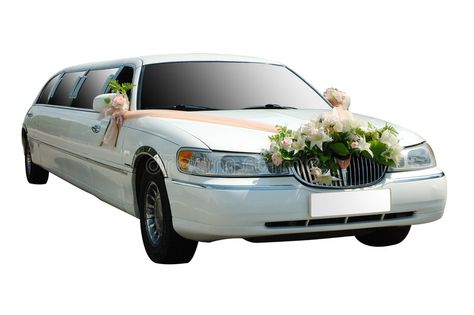 Wedding limousine. Wedding white limousine car (limo) on isolated background #Sponsored , #Ad, #Paid, #limousine, #isolated, #background, #white White Limousine, Wedding Limousine, Pflugerville Texas, Wedding Limo Service, Limousine Car, Wedding Limo, Airport Limo Service, Limo Rental, Sydney Airport