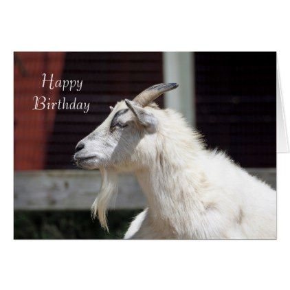 White Goat 2112 Birthday Card - white gifts elegant diy gift ideas Goat Profile, White Goat, Goat Gifts, Unique Postcards, Diy Gift Ideas, Thank You Postcards, Photo Postcard, Side Profile, Make Your Own Poster