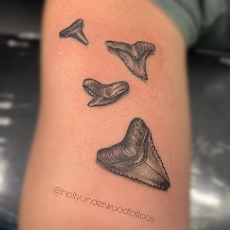 Mako Shark Tooth Tattoo, Sharks Teeth Tattoo, Megladon Tooth Tattoo, Great White Shark Tooth Tattoo, Sharks Tooth Tattoo, Shark Teeth Tattoo, Marker Tattoos, Apple Blossom Tattoos, Shark Teeth Crafts