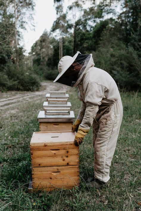 Bee Hive Photography, Bee Keeper Aesthetic, Bee Farm Aesthetic, Bee Keeping Aesthetic, Beekeeping Aesthetic, Commune Aesthetic, Honey Bee Photography, Bee Aesthetic, Bee Cottage