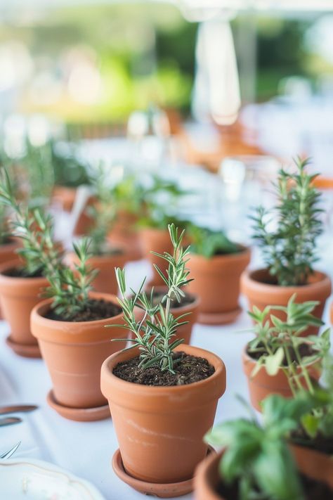 Bring a fresh twist to your wedding tables with our DIY guide on creating eco-friendly centerpieces! 🌿💐 Perfect for the green-hearted couple, these potted herbs add a natural scent and charm to your decor. Plus, guests can take home a piece of your special day. #EcoWedding #DIYCenterpiece #HerbGarden #SustainableLiving #WeddingIdeas #GreenWedding #WeddingDecor #EcoChic Potted Plant Centerpieces Wedding, Organic Centerpieces, Herb Wedding Centerpieces, Potted Plant Centerpieces, Succulent Wedding Table, Herb Wedding, Potted Herbs, Plant Centerpieces, Backyard Bbq Party