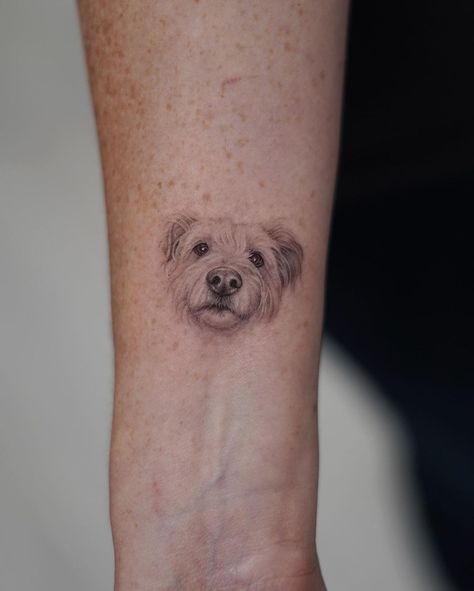 Single Needle Dog Tattoo, Small Dog Face Tattoo, Pet Face Tattoo, Micro Dog Tattoo, Dog Tattoo Realism, Dog Face Tattoo, Animal Pfp Funny, Realism Animal Tattoo, Animal Wallpaper Aesthetic